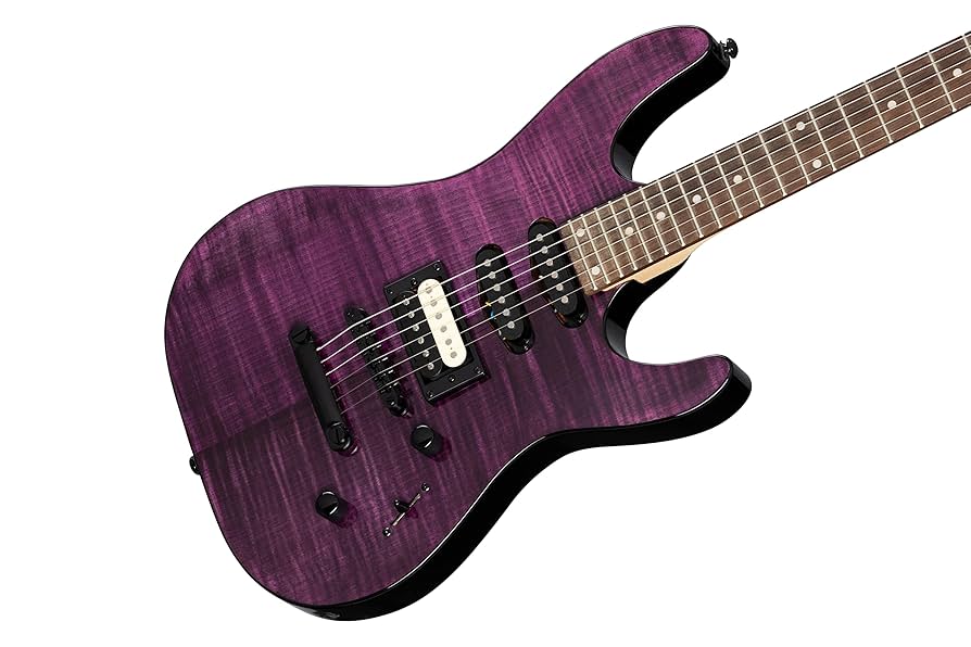 Amazon.com: Kramer Striker Figured HSS Stoptail, Trans